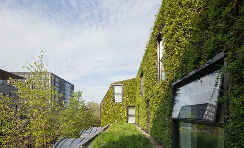 Skötsel och underhåll – så håller du taket friskt och vackert